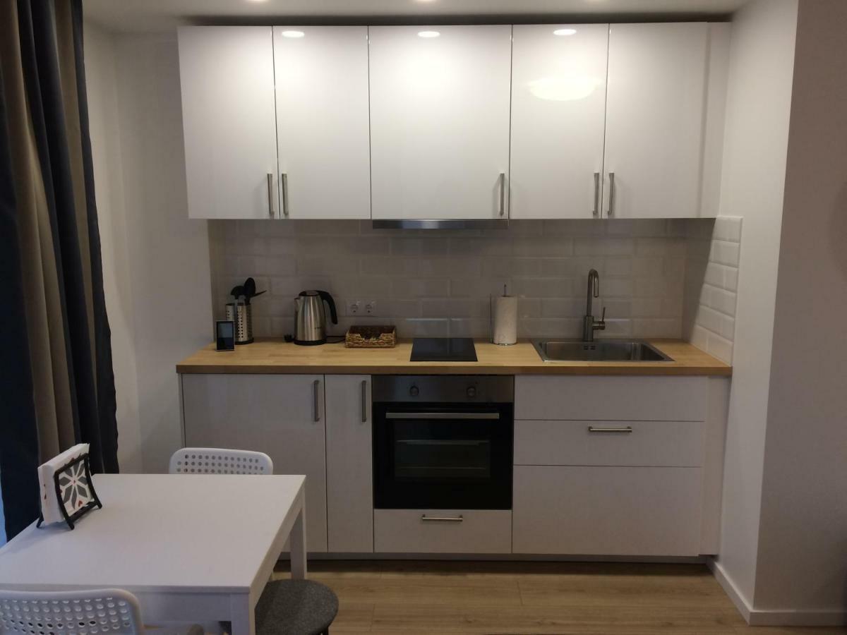 Elegant Apartment Close To The Old Town Βίλνιους Εξωτερικό φωτογραφία