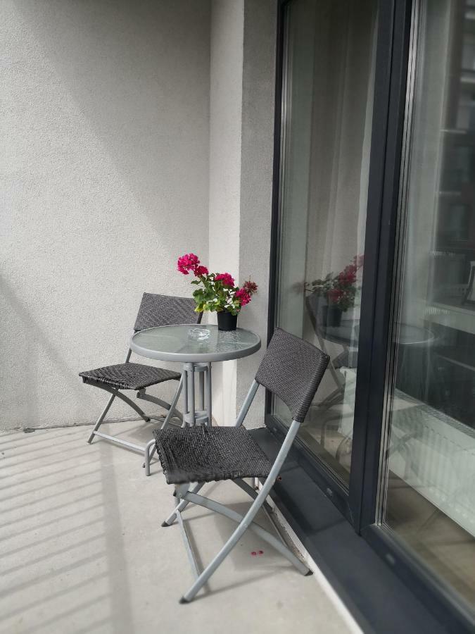 Elegant Apartment Close To The Old Town Βίλνιους Εξωτερικό φωτογραφία